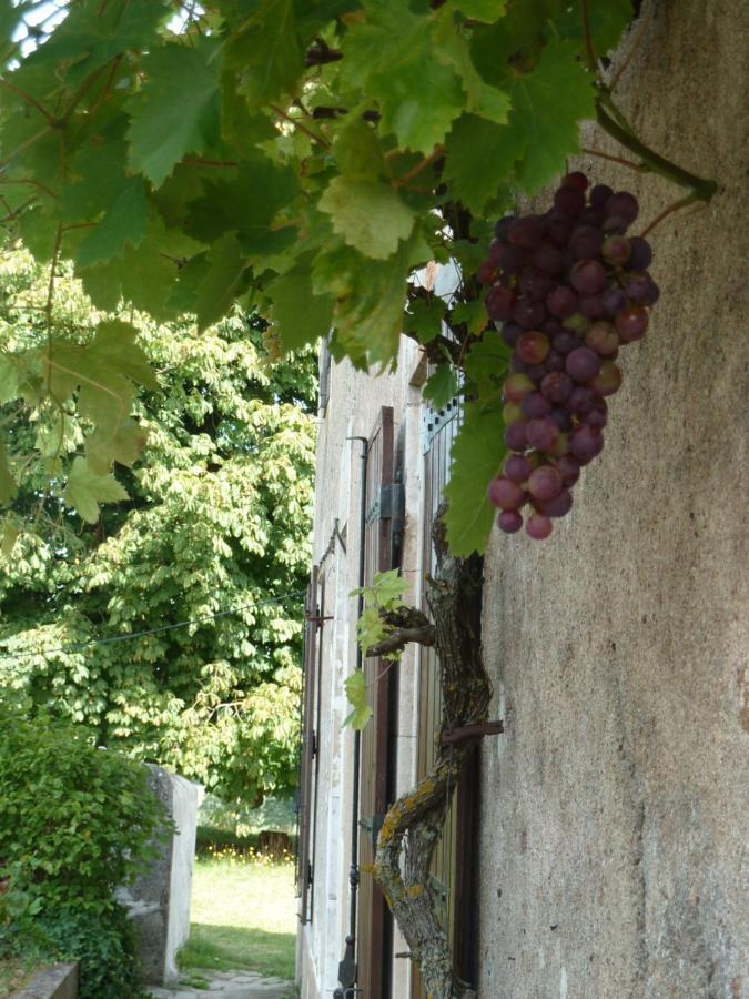 A L'Ombre Du Marronnier Gites La Peruse Exterior photo