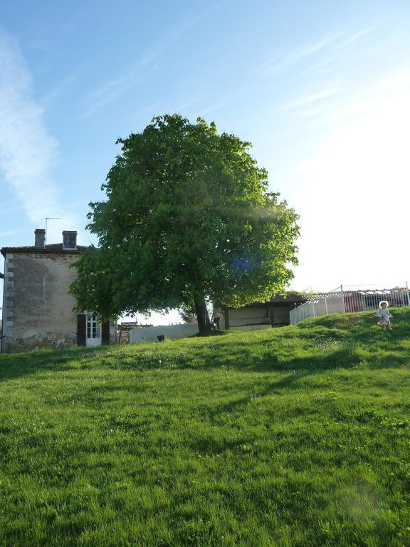 A L'Ombre Du Marronnier Gites La Peruse Exterior photo